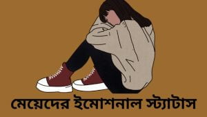 মেয়েদের ইমোশনাল স্ট্যাটাস পোষ্ট ২০২৪